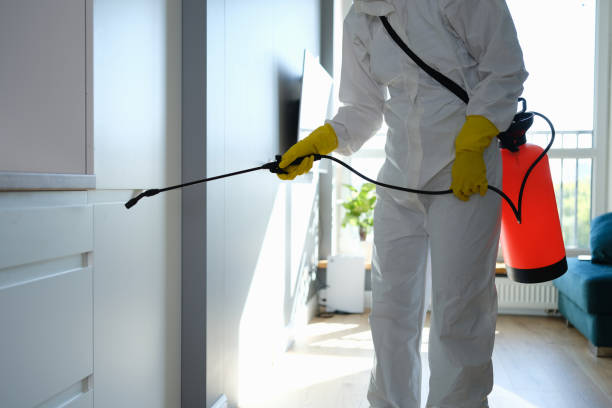 Best DIY Mold Remediation Support Services in Vienna Bend, LA